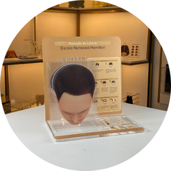 site archneer foto descricao