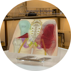 site archneer foto descricao 1