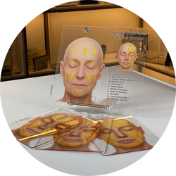 site archneer foto descricao 5