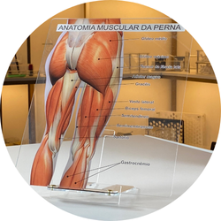 site archneer foto descricao 8