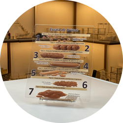 04 escala de bristol quadro de marcacao macromodelo