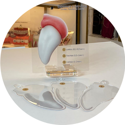 01 espessura e estrutura lente faceta e coroa quadro de marcacao macromodelo guia odontologico